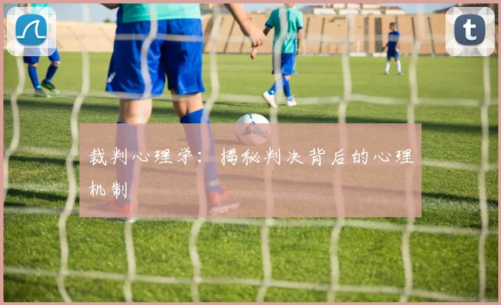 裁判心理学:揭秘判决背后的心理机制