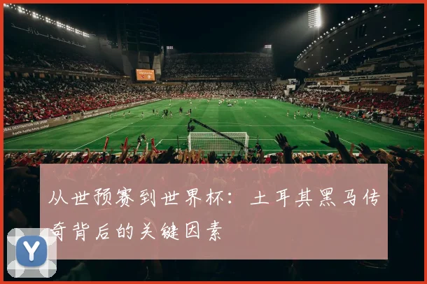 从世预赛到世界杯：土耳其黑马传奇背后的关键因素