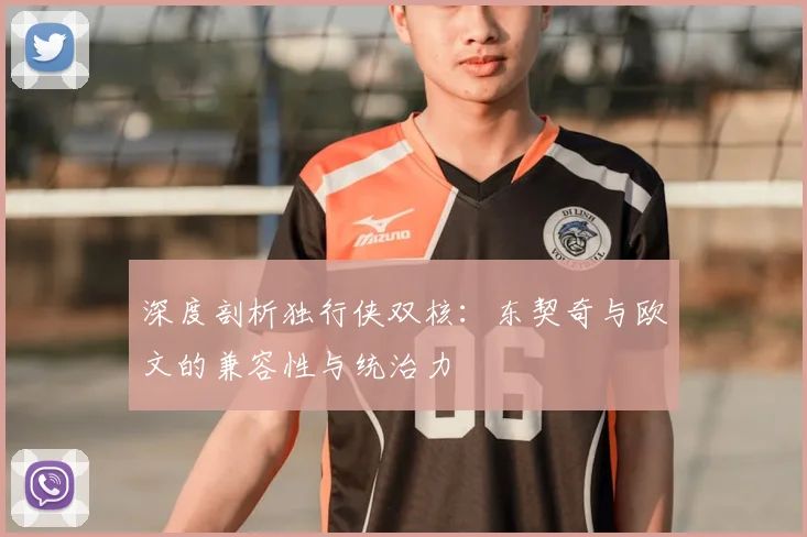 深度剖析独行侠双核：东契奇与欧文的兼容性与统治力