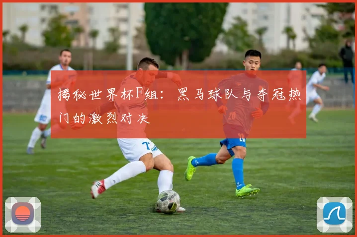 揭秘世界杯F组：黑马球队与夺冠热门的激烈对决