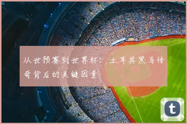 从世预赛到世界杯：土耳其黑马传奇背后的关键因素