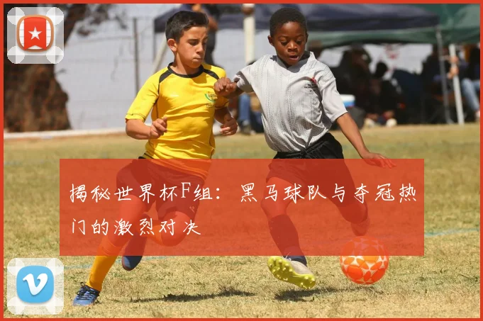 揭秘世界杯F组：黑马球队与夺冠热门的激烈对决